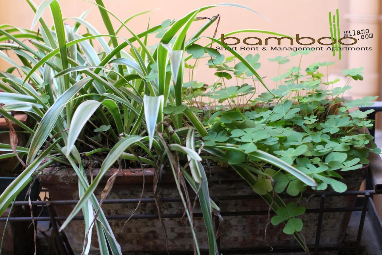 Bamboo Milano Brera Daire Dış mekan fotoğraf